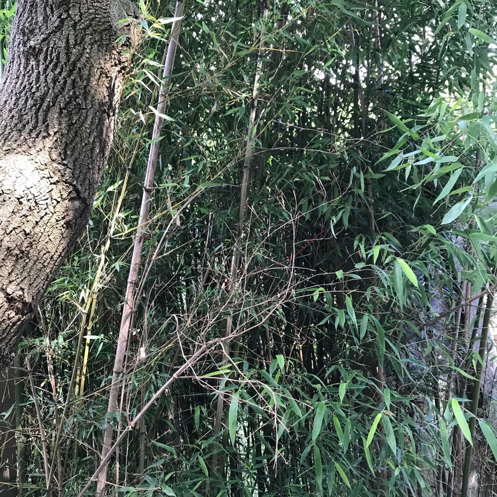 Meet your Posher, Sean